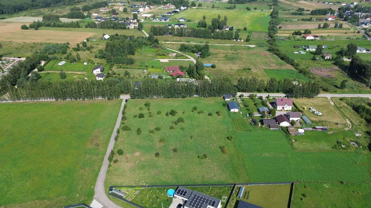 Berželių alėja prie sklypų Rudaminoje
